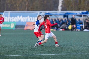 Bild 299 - wBJ Hamburger SV - Holstein Kiel : Ergebnis: 8:0